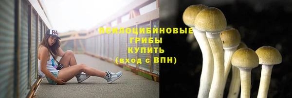 ГАЛЛЮЦИНОГЕННЫЕ ГРИБЫ Новочеркасск