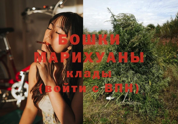 бошки Горнозаводск