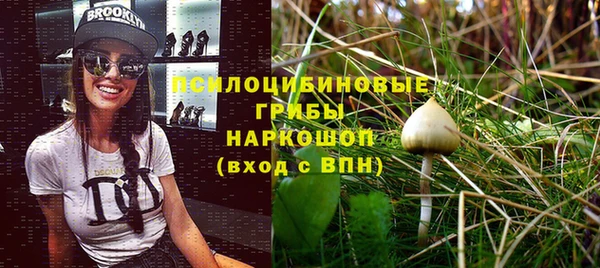 дурь Вяземский