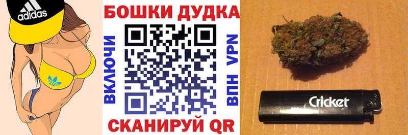 Купить где  Клинцы  Бошки Шишки ГИДРОПОН 